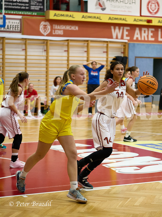 Basketball Superliga 2024/25, SLWU16 Traiskirchen Lionesses vs. UBBC Herzogenburg


