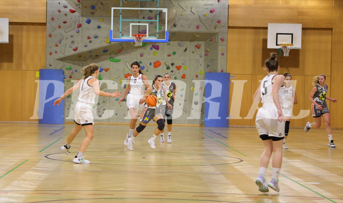 Basketball Damen Superliga 2023/24, Grunddurchgang .Runde Basket Flames vs. Duchess Klosterneuburg


