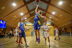 26.10.2024 Österreichischer Basketballverband 2024/25, SLMU14, Vienna Giants vs. SKN St. Pölten
