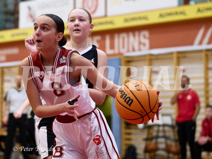 Basketball Superliga 2024/25, SLWU14 Traiskirchen Lionesses vs. DBK Steyrer Witches


