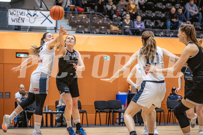 Basketball, Win2Day Basketball Damen Superliga 2022/23, Grunddurchgang 13.Runde, Vienna Timberwolves, Basket Flames, Antonia Dumancic (17), LouLou Kenens (7)