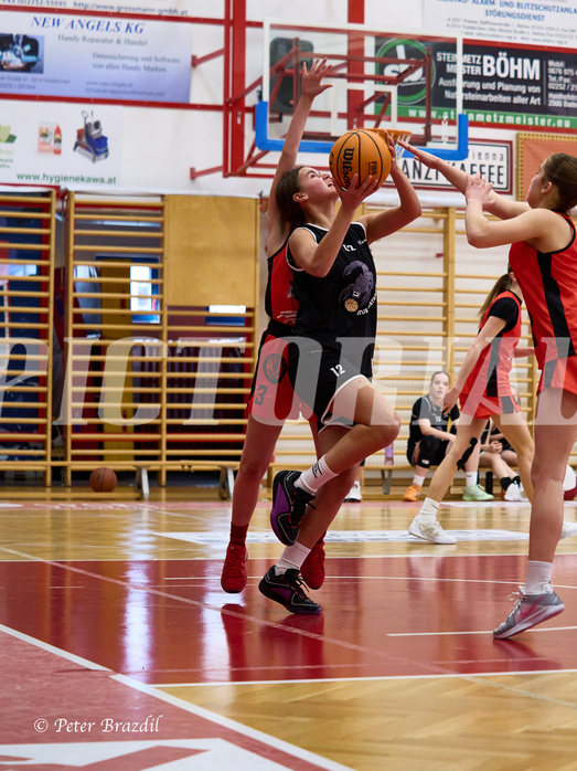 Basketball Superliga 2024/25, SLWU14 Traiskirchen Lionesses vs. Gratkorn Scorpions


