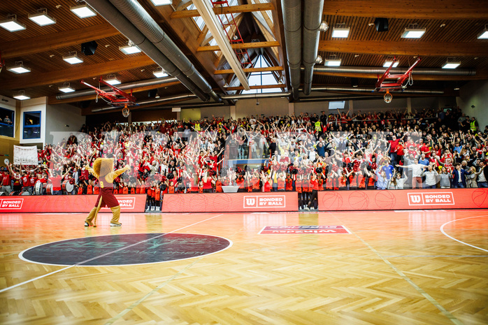 Basketball, Basketball Austria CUP 2023/24, Finale, Traiskirchen Lions, Flyers Wels, feature, fans