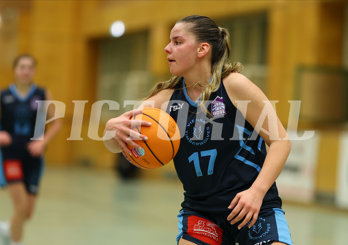 Basketball Damen Superliga 2024/25, Grunddurchgang 6.Runde Vienna United vs. Vienna Timberwolves


