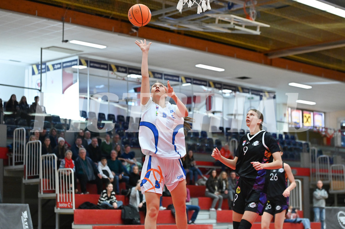 Basketball Superliga 2024/25, Grunddurchgang 9.Runde, DBB Wels vs Vienna United,

