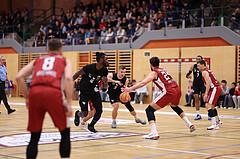 Basketball Zweite Liga 2024/25, Grunddurchgang 21.Runde Mistelbach Mustangs vs. Raiders Tirol


