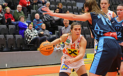 Basketball Austria Cup 2023/24, Viertelfinale BK Duchess Klosterneuburg vs. Vienna Timberwolves


