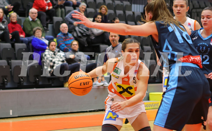 Basketball Austria Cup 2023/24, Viertelfinale BK Duchess Klosterneuburg vs. Vienna Timberwolves


