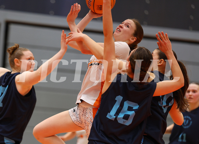Basketball Superliga SLMU19 Basket Duchess vs. Vienna Timberwolves


