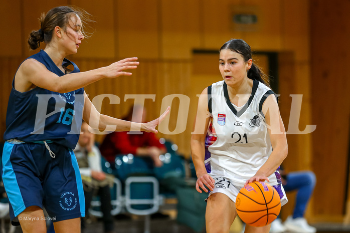 01.12.2024 Österreichischer Basketballverband 2024/25, SLWU19, Vienna United vs. Vienna Timberwolves