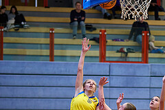 Basketball Superliga 2024/25, SLWU16 Traiskirchen Lionesses vs. UBBC Herzogenburg


