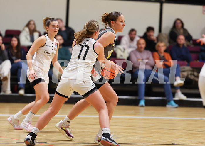 Basketball Damen Superliga 2023/24, Grunddurchgang, 13 Runde Basket Flames vs. Duchess Klosterneuburg


