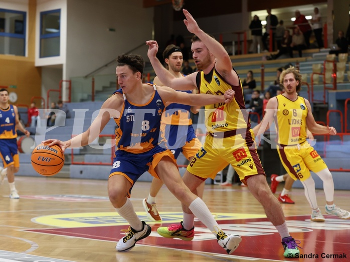 Basketball Zweite Liga 2024/25, Grunddurchgang 8.Runde Traiskirchen Lions NextGen vs. BBU Salzburg