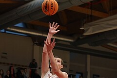 Basketball Superliga 2024/25, SLMU16 Traiskirchen Lions vs. BC Vienna


