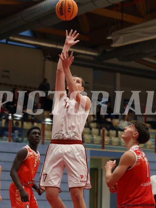 Basketball Superliga 2024/25, SLMU16 Traiskirchen Lions vs. BC Vienna


