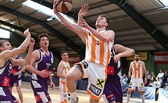 Basketball ABL 2018/19, Grunddurchgang 32.Runde D.C. Timberwolves vs. BK Dukes


