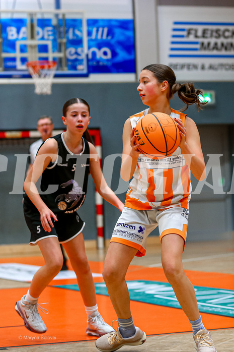 15.12.2024 Österreichischer Basketballverband 2024/25, SLWU14 Basket Duchess vs. Gratkorn Scorpions