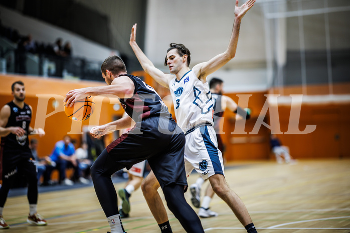 Basketball, Basketball Zweite Liga 2024/25, Grunddurchgang 6.Runde, Vienna Timberwolves, Mistelbach Mustangs, Vincent Balau (8)