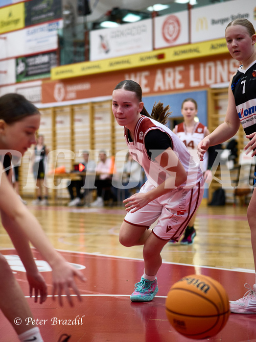 Basketball Superliga 2024/25, SLWU14 Traiskirchen Lionesses vs. DBK Steyrer Witches


