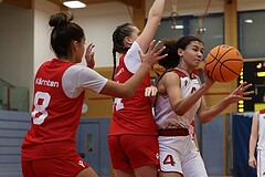 Basketball Superliga 2024/25, SLWU16 Traiskirchen Lions Young & Wild vs. Radenthein Garnet


