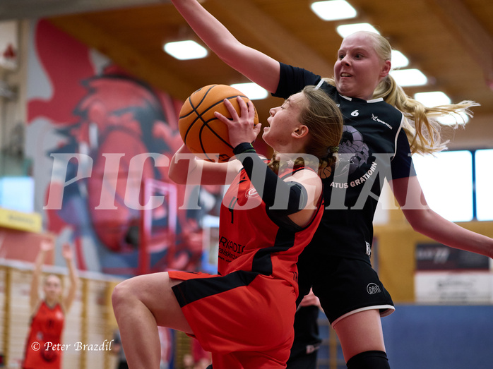 Basketball Superliga 2024/25, SLWU14 Traiskirchen Lionesses vs. Gratkorn Scorpions


