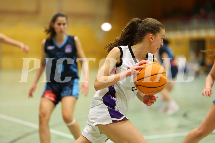 Basketball Damen Superliga 2024/25, Grunddurchgang 6.Runde Vienna United vs. Vienna Timberwolves


