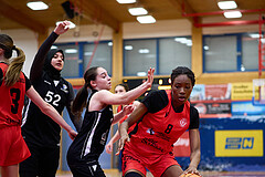 Basketball Superliga 2024/25, SLWU16 Traiskirchen Lionesses vs. BBC Nord Dragons


