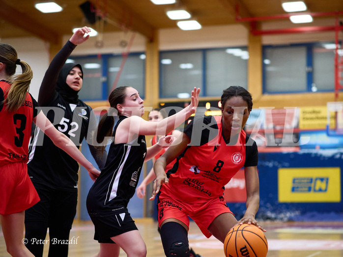 Basketball Superliga 2024/25, SLWU16 Traiskirchen Lionesses vs. BBC Nord Dragons


