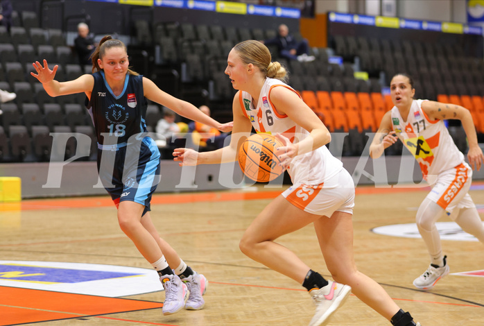 Basketball Austria Cup 2023/24, Viertelfinale BK Duchess Klosterneuburg vs. Vienna Timberwolves


