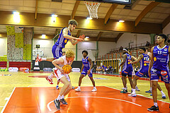 Basketball Superliga 2024/25, Grunddurchgang 7.Runde SKN St. Pölten vs. Oberwart Gunners