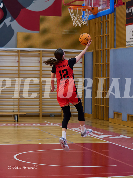Basketball Superliga 2024/25, SLMU16 Traiskirchen Lionesses vs. VKL Vikings Kammer



