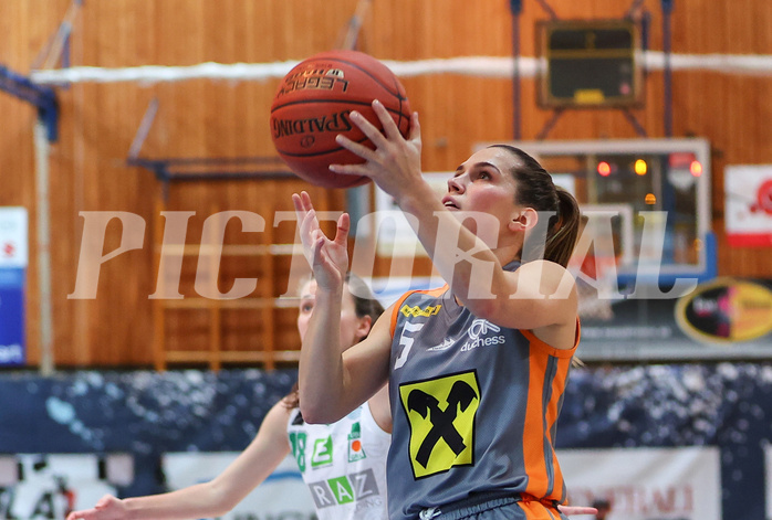 Basketball Austria Cup 2022/23, Finale BK Duchess Kosterneuburg vs. UBI Graz


