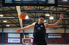 Basketball 2. Liga 2024/25, Grunddurchgang 9.Runde , Güssing vs. Vienna United


