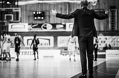 Basketball, ABL 2018/19, Grunddurchgang 19.Runde, Oberwart Gunners, Flyers Wels, Sebastian Waser (Head Coach)