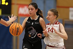 Basketball Superliga 2024/25, SLWU14 Traiskirchen Lionesses vs. ATUS Gratkorn Scorpions



