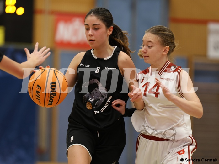 Basketball Superliga 2024/25, SLWU14 Traiskirchen Lionesses vs. ATUS Gratkorn Scorpions


