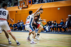 Basketball, Basketball Zweite Liga 2024/25, Grunddurchgang 6.Runde, Vienna Timberwolves, Mistelbach Mustangs, Zdenek Nehyba (42)