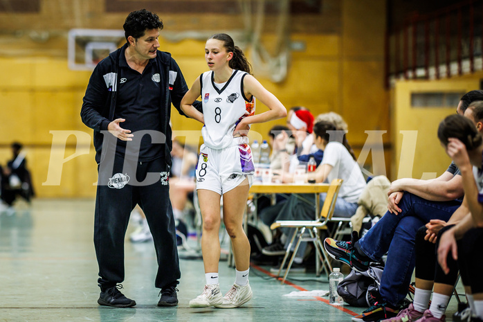 Basketball, Win2Day Basketball Damen Superliga 2023/24, Grunddurchgang 6.Runde, Vienna United, Vienna Timberwolves, Vedran Schuch (Head Coach), Jula Schmidt (8)