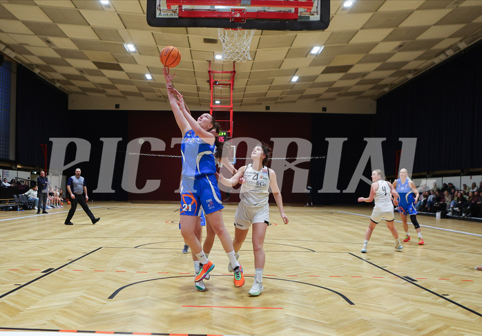 Basketball Damen Superliga 2023/24, Grunddurchgang 11.Runde Basket Flames vs. DBB Wels


