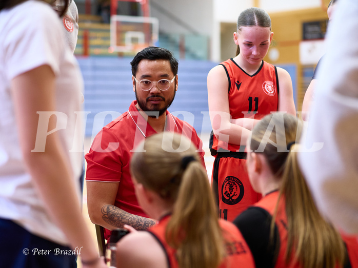 Basketball Superliga 2024/25, SLWU14 Traiskirchen Lionesses vs. Gratkorn Scorpions



