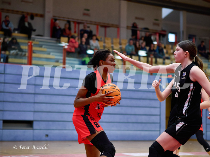 Basketball Superliga 2024/25, SLWU16 Traiskirchen Lionesses vs. BBC Nord Dragons


