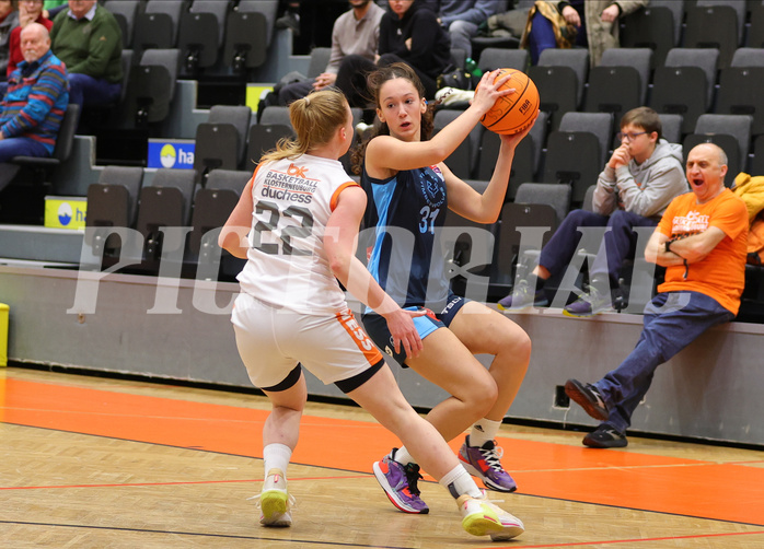 Basketball Austria Cup 2023/24, Viertelfinale BK Duchess Klosterneuburg vs. Vienna Timberwolves


