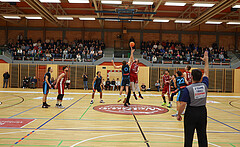 Basketball Zweite Liga 2024/25, Grunddurchgang 15.Runde Mistelbach Mustangs vs. Vienna Timberwolves


