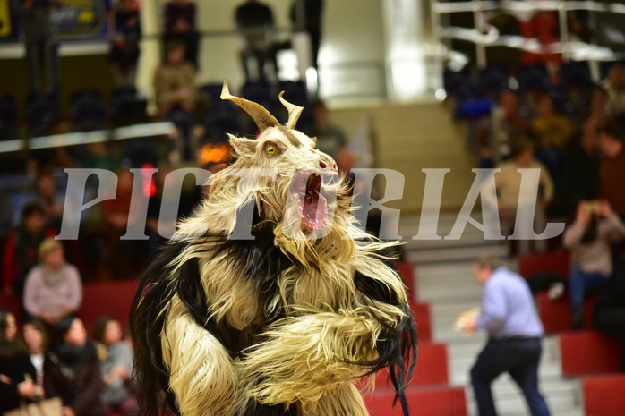 Basketball Superliga 2019/20, Grunddurchgang 11. Runde Flyers Wels vs. BC Hallman Vienna
