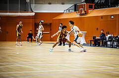 Basketball, Basketball Zweite Liga 2024/25, Grunddurchgang 20.Runde, Vienna Timberwolves, Traiskirchen Lions NexGen, Obinna Ndukwe (2), Daniele Kuchar (22)