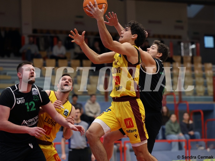 Basketball Zweite Liga 2024/25, Grunddurchgang 12.Runde Traiskirchen Lions NextGen vs. Deutsch Wagram Alligators