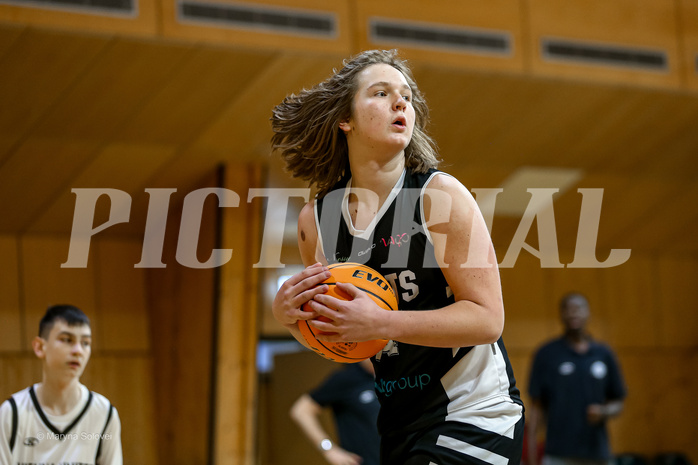 12.01.2025 Österreichischer Basketballverband 2024/25, SLMU14, SU Döbling vs Vienna Giants