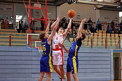 Basketball Superliga 2024/25, SLMU16 Traiskirchen Lions Academy  vs. UBSC Graz 



