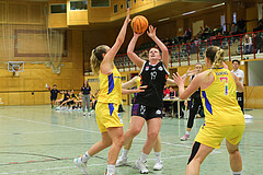 Basketball Damen Superliga 2023/24, Grunddurchgang 3.Runde Vienna United vs. SKN St.Pölten


