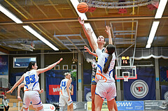 Basketball Superliga 2024/25, Grunddurchgang 4.Runde, DBB Wels vs Klosterneuburg,

